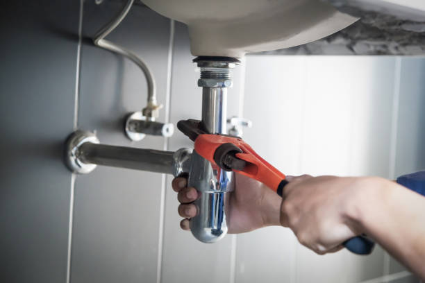 Best Plumbing Inspection Services  in Homosassa, FL